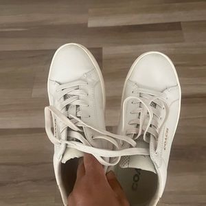 Coach sneakers